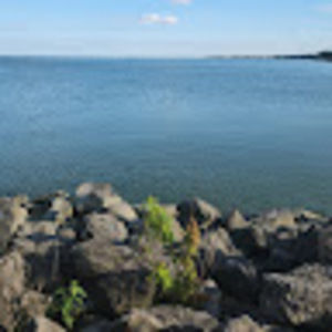 Meet your Posher, Nolan